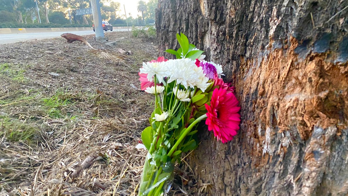 JohnPalminteri's tweet photo. These flowers have been left at the scene of a fatal rollover crash Saturday morning in Santa Barbara just past the northbound Castillo onramp.  The name of the driver is expected to be released this week by the CHP.  The crash investigation  led to a full freeway shutdown. https://t.co/nXbpt2I020