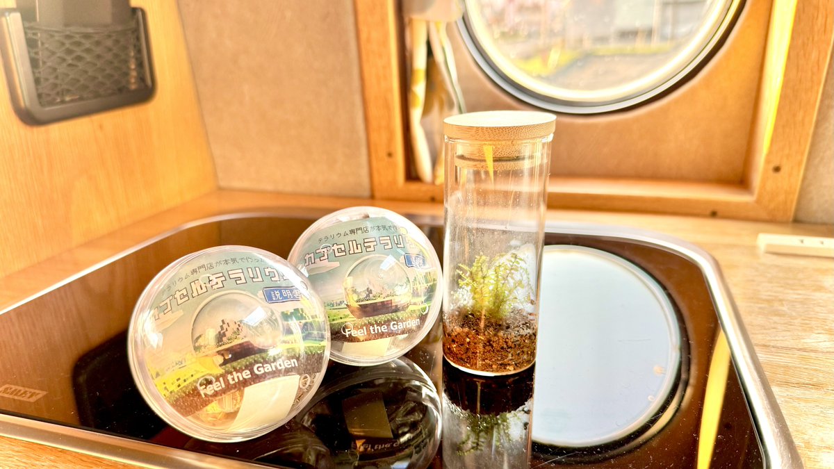 個人的に静かにハマっている『苔テラリウム』✨

【Moss Country】さんが出展されているとの事で【BOTAPARA】へ行ってきました😊

苔もそうだけどミニ盆栽も奥が深く、今後こちらもハマりそうです☺️

#苔テラリウム
#ミニ盆栽
#中古キャンピングカーでドライブ
#カトーモーター
#DD