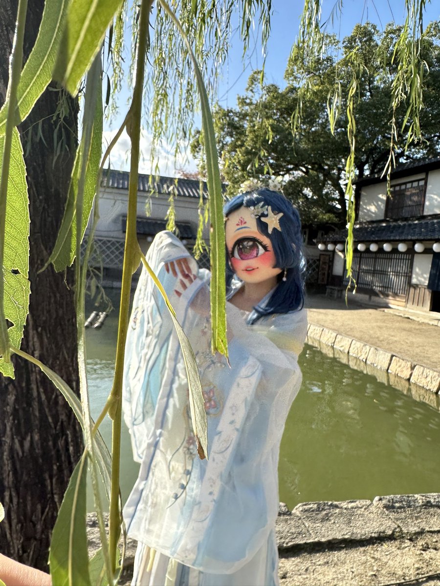 ☆海月☆単眼ちゃん🪼 (@Jellyfish_Mmm) / Posts / X