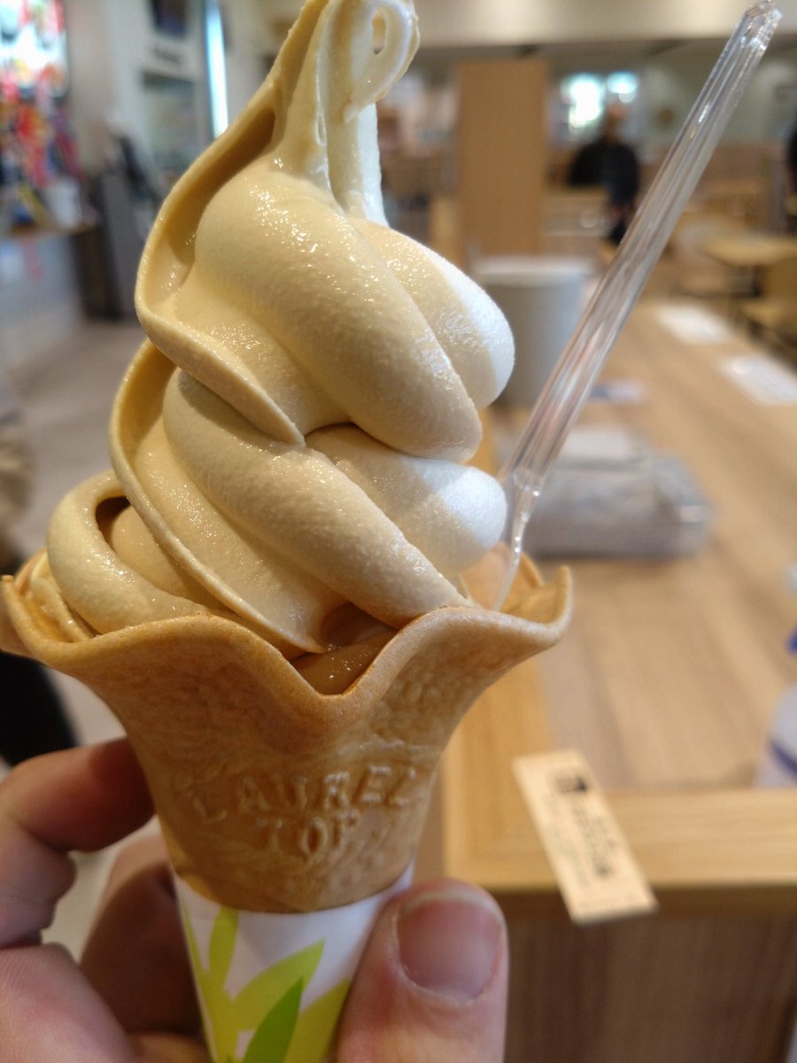 カメキチ@Ninja1000SX on X