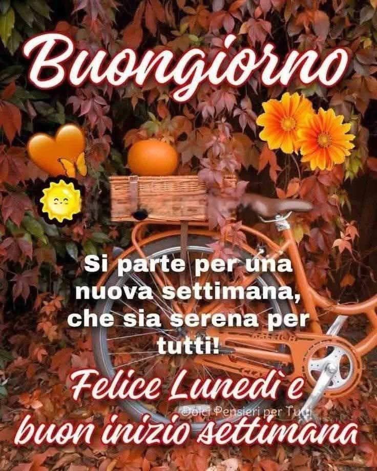 RITABIANCHi56 tweet media