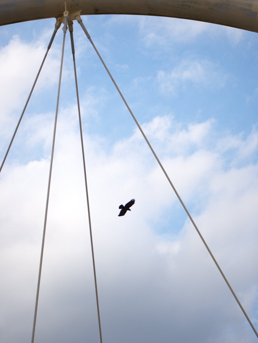 さう📷X-S20＋G100D on X