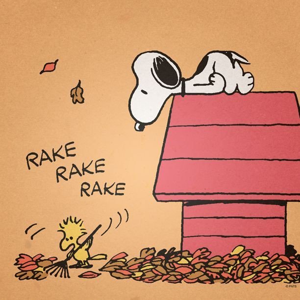 esmeraldam2033's tweet image. Hello September snoopy dog picture 🍂🍂🍁🍁🍃🍃🐶🐶🐾🐾😂😂🤣🤣❤️❤️💙💙💚💚🧡🧡🤎🤎💛💛🤗🤗👐👐📸📸.. #helloseptember  #helloseptember🍁🍂🍃 #helloseptember🍁 #helloseptember2025 #hollyoaks #eastenders #emmerdale #corrie #coronationstreet #neighbours