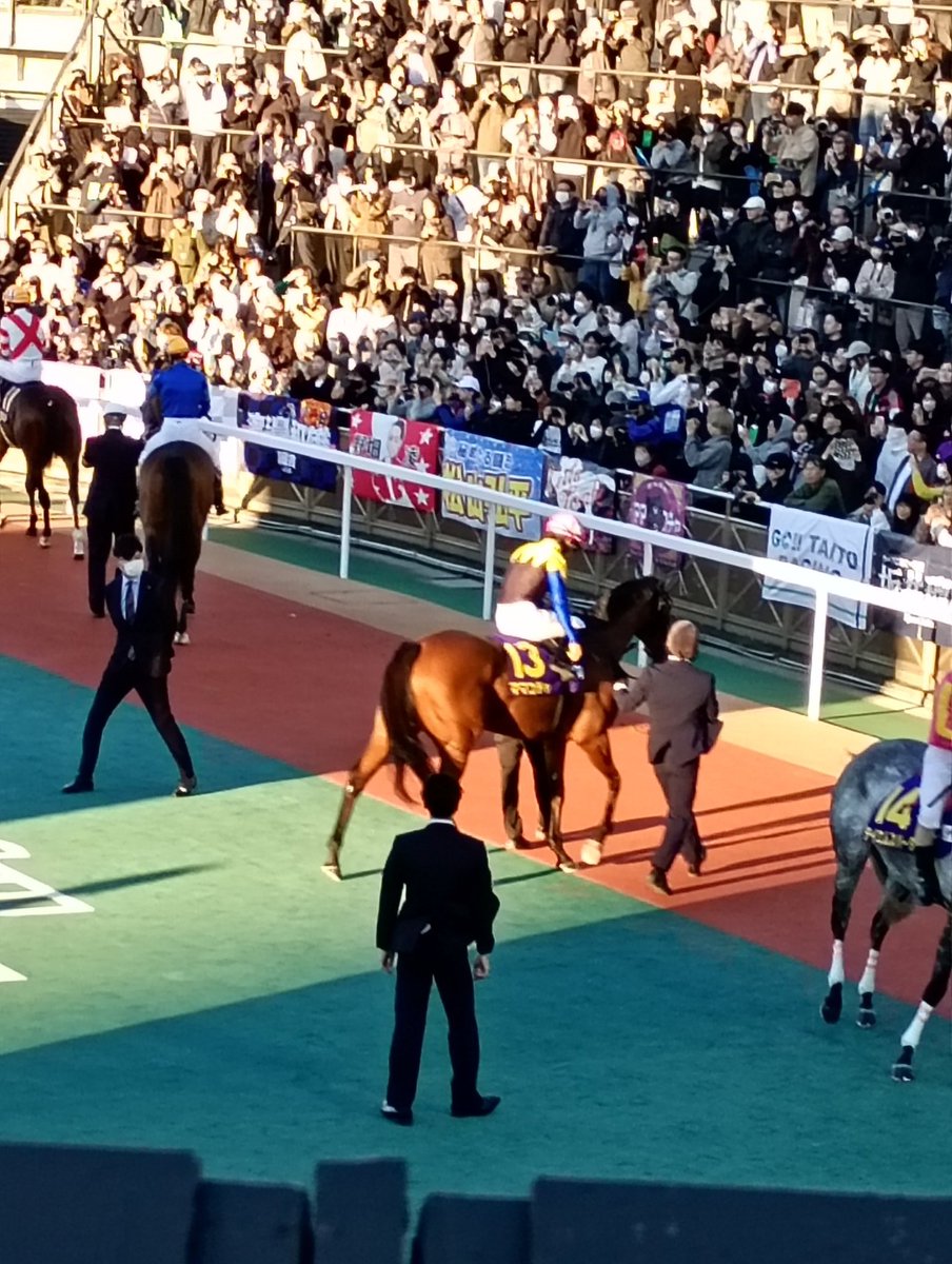 ママコチャ、立派だったわあ。さすがクロフネの娘。