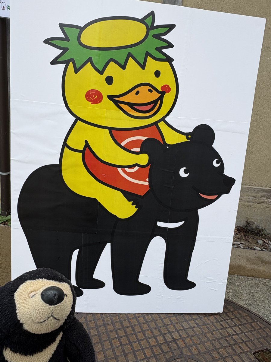 きんちゃん🐳 on X