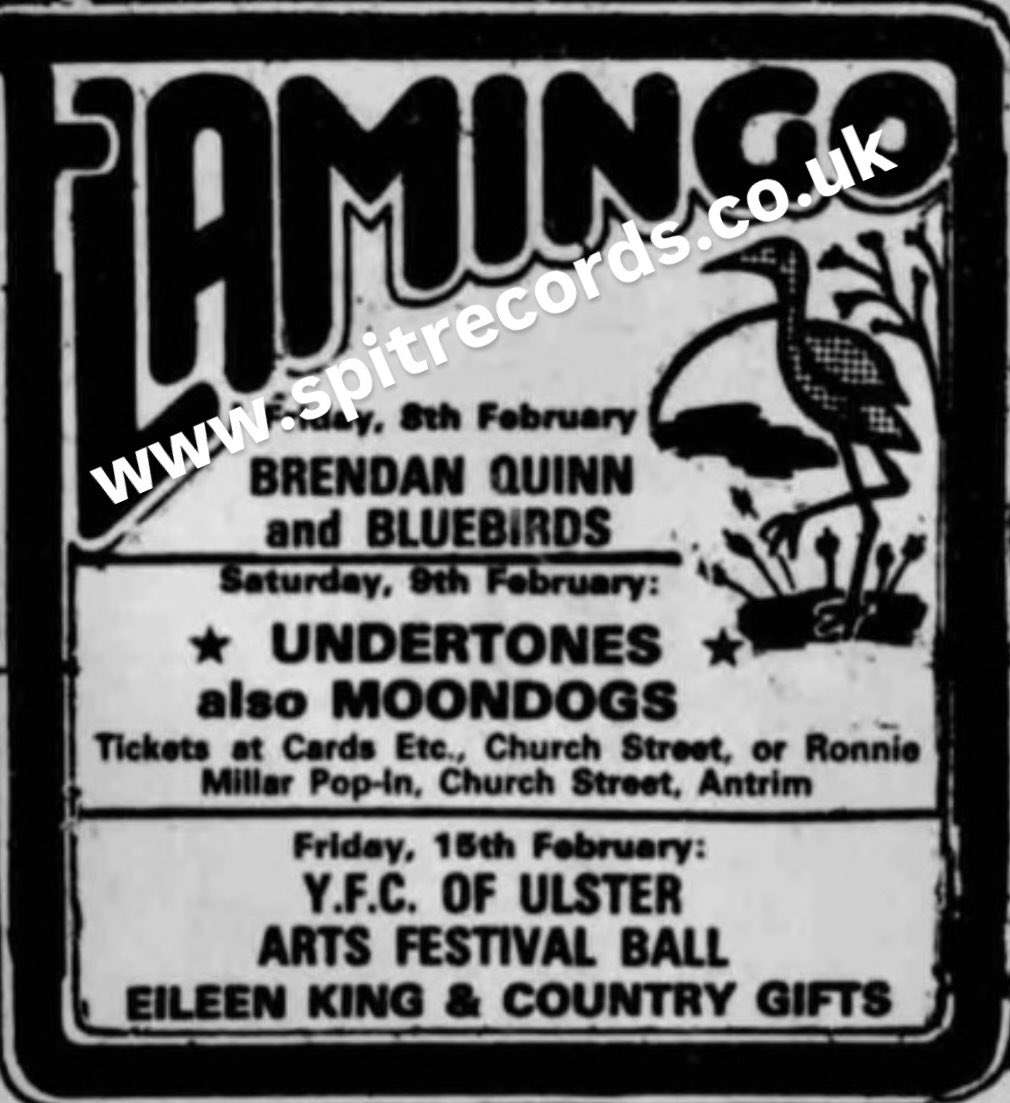 SpitRecords's tweet photo. The Undertones &amp; The Moondogs in Ballymena 9th February 1980. #theundertones #themoondogs #spitrecords https://t.co/Y4s7jnltyi