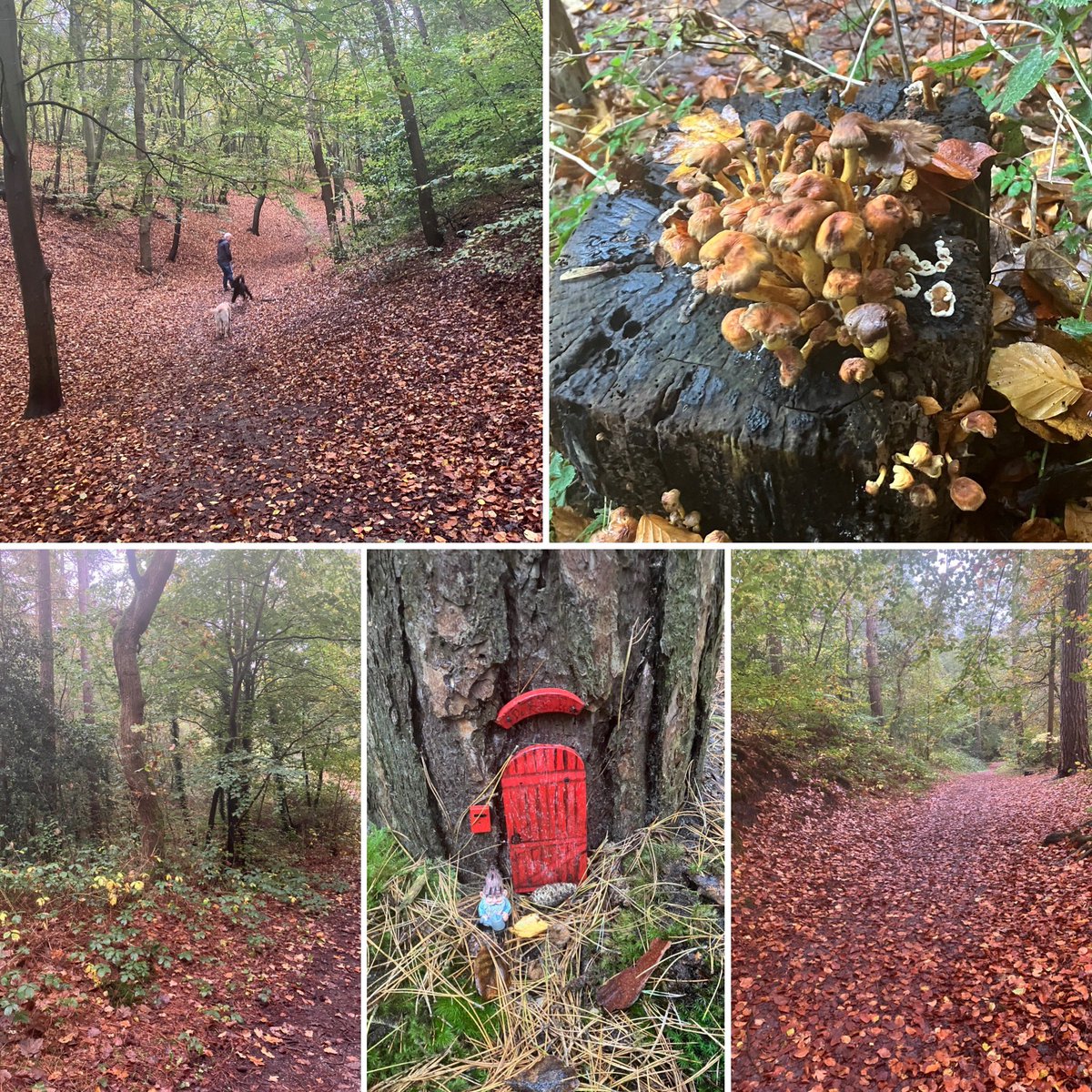 Goedemorgen! Op weg naar dit mooie gebied. Een week genieten!