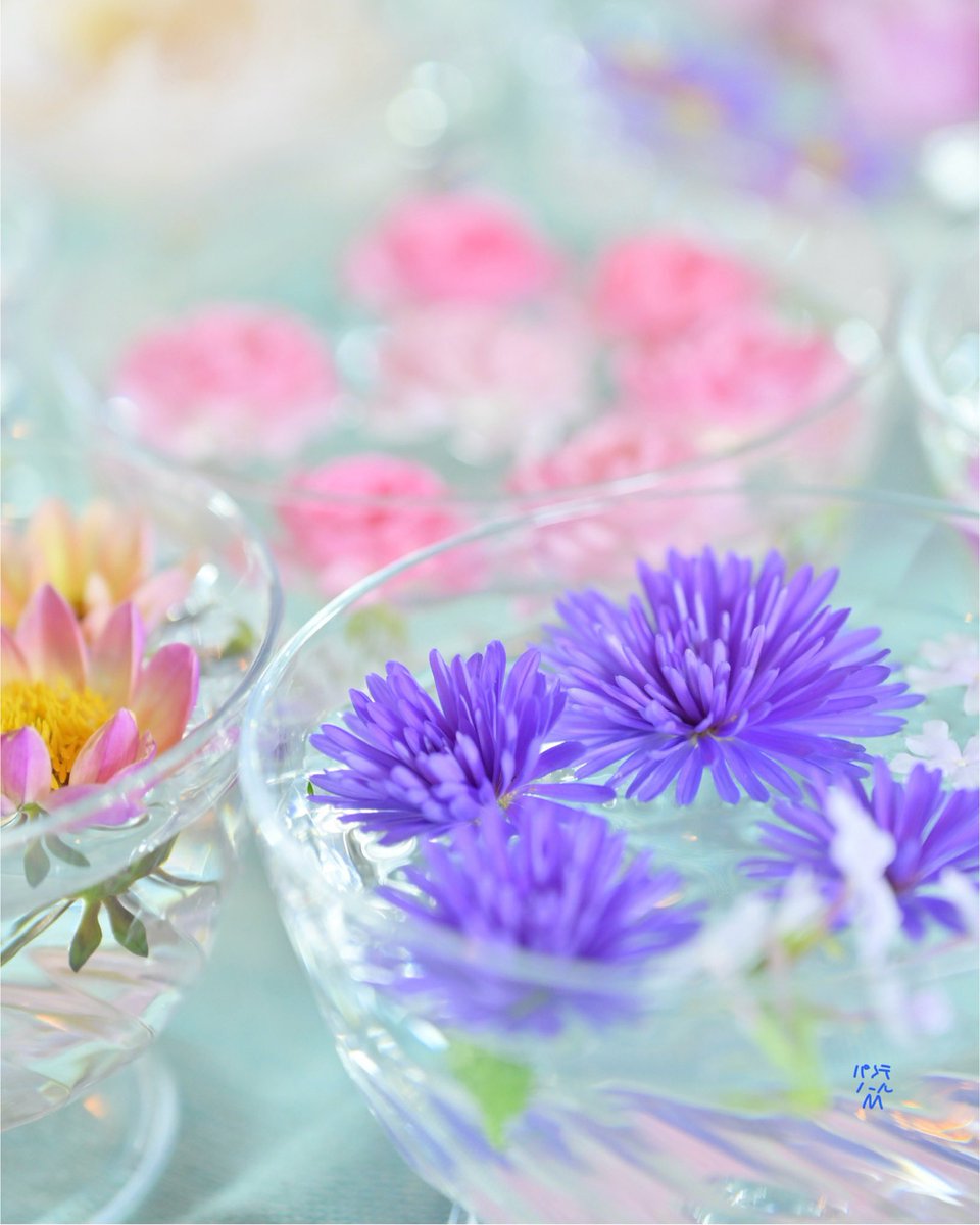 パンテノールM on X