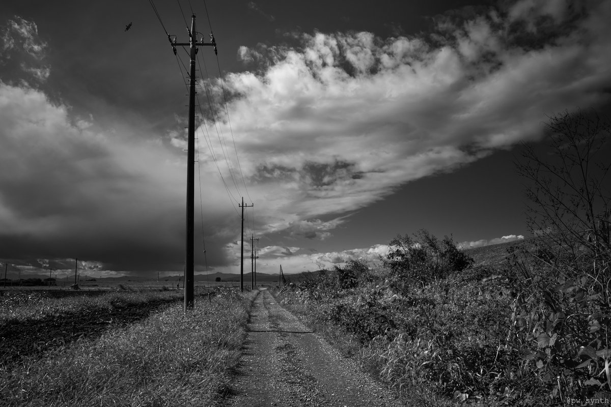 pw_synth's tweet image. 荒川　グラベル （未舗装路） 
#streetphotography #street #snap 
#SILKYPIX #monochrome 
#RICOHGR #GR #GRIII #GR3