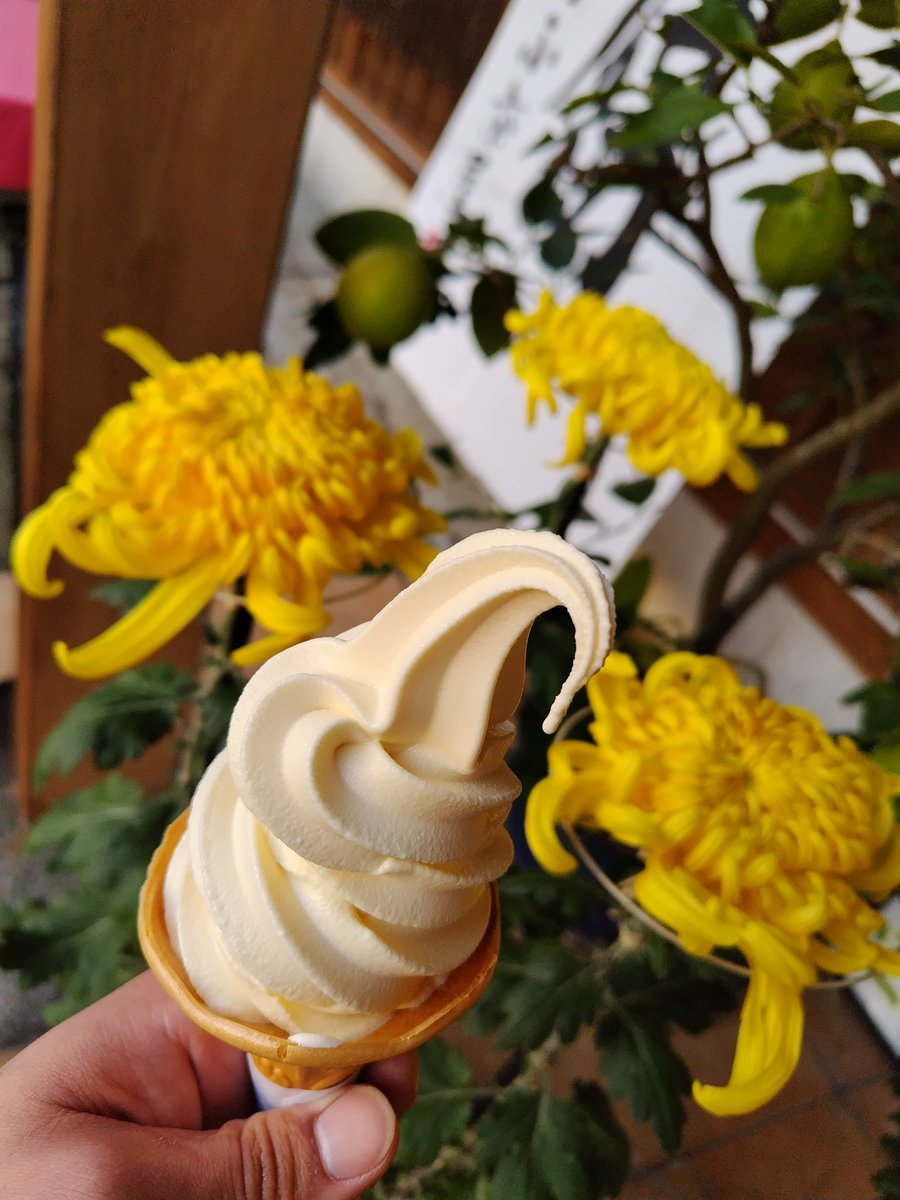 YOSSHI−Africa on X