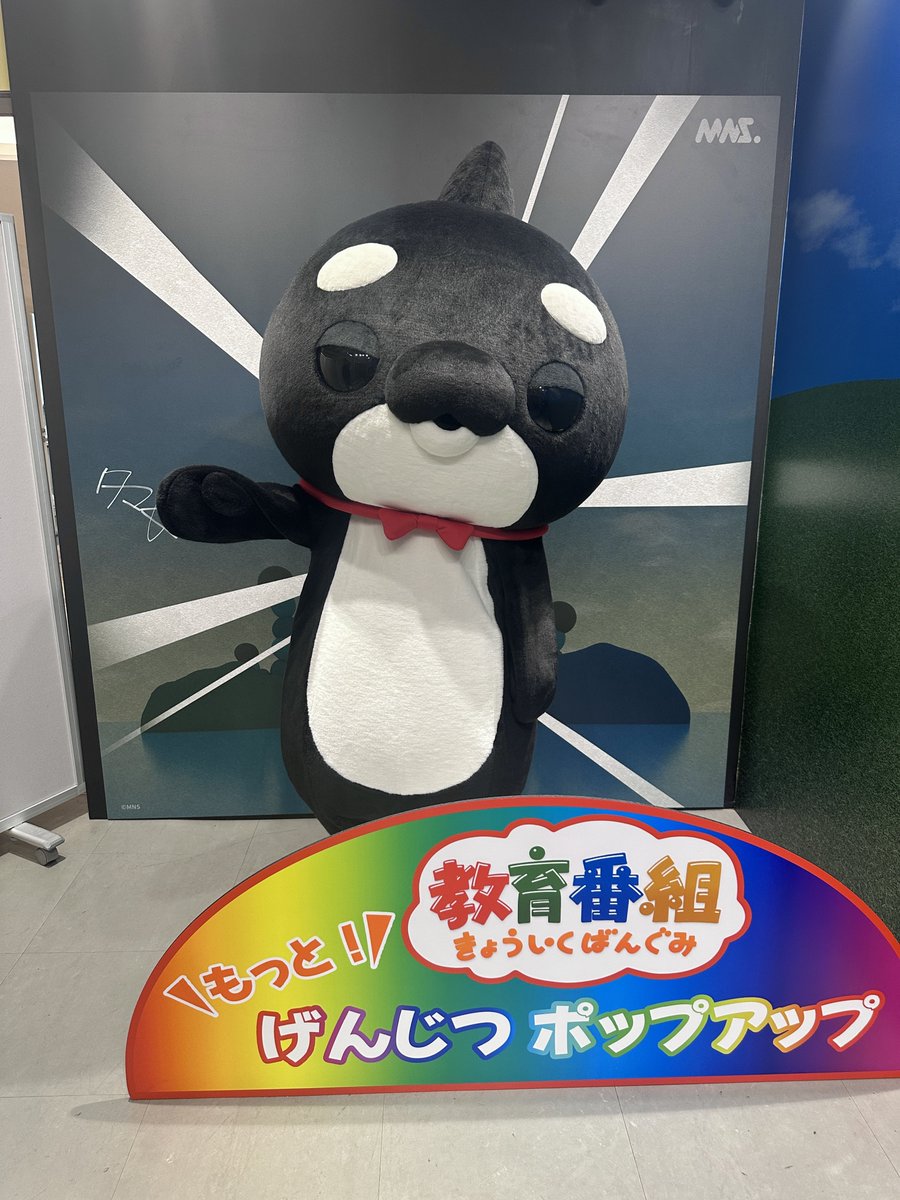 MNSスタッフ (@MNS_staff) / Posts / X