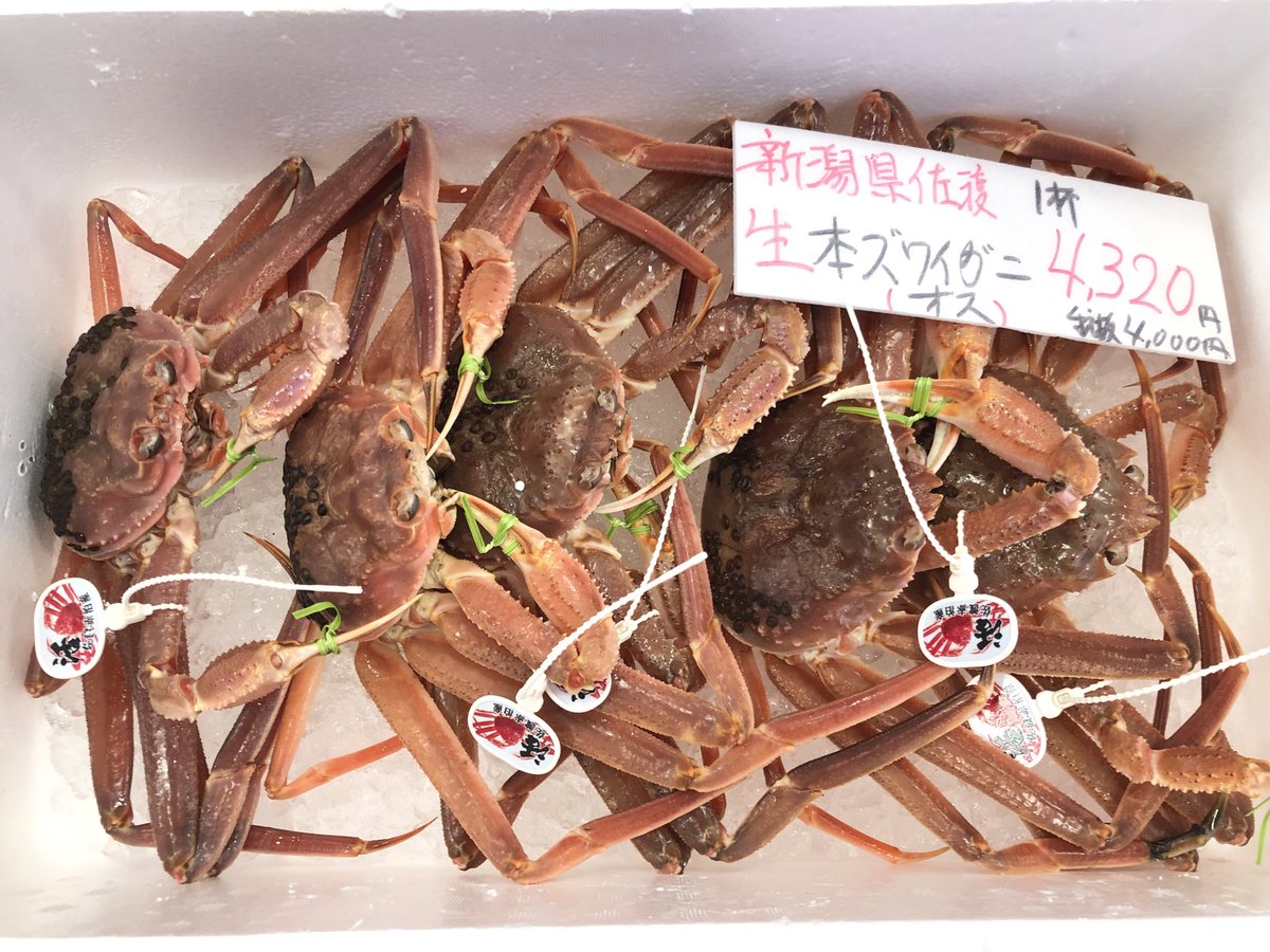 🦀カニ🦀カニ🦀