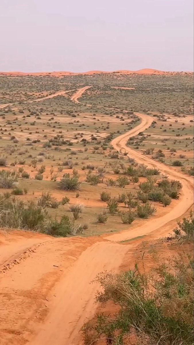 الطرق البرية في موسم الأمطار و الربيع  والبراد راحة نفسية ومتعة بصرية.
#الوسم