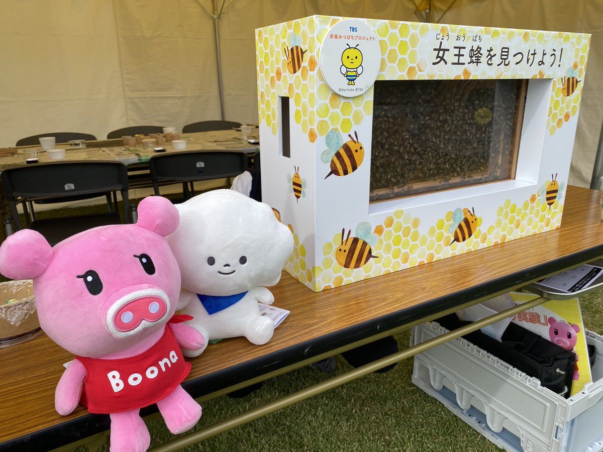 #gtfグリーンチャレンジデー 2025 in 新宿御苑
TBSブースへのご来場、ありがとうございました！🐝🌳

今年初のはちみつ石けん作りワークショップ🧼は大盛況でした🎉

#ワクティ と #boona も見守ってくれました☺️✨

#新宿御苑 #tbs #csr #sdgs 
#tbs赤坂みつばちプロジェクト