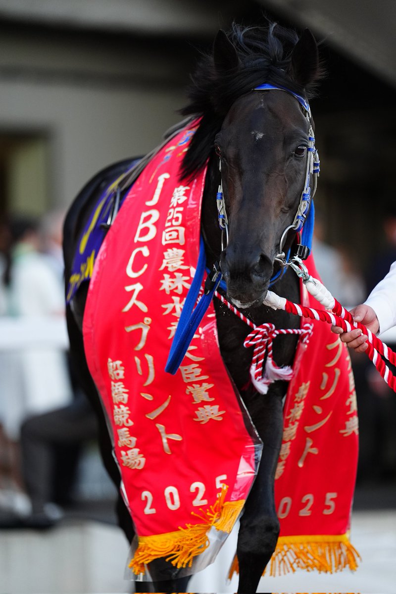 スポニチ競馬チャンネル on X