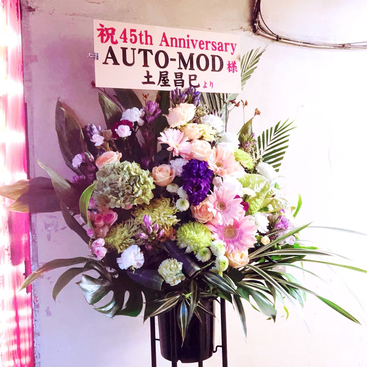 GenetAutoMod's tweet image. なんと土屋昌巳様からお花いただきました！
こりゃあ頑張らないといかんデスね…💦
《超世代核融合》
AUTO-MODの遺伝子が、デルジベット、Pugs、Der Eisenrostの遺伝子と振れ合い、今回もとんでもない瞬間を生み出す‼️

18時よりワイルドサイド東京‼️