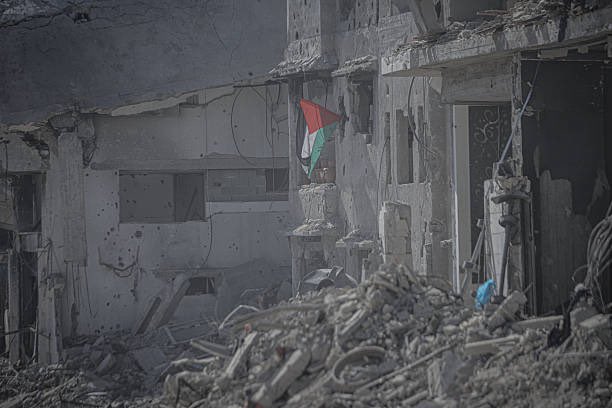 Drop Site tweet media