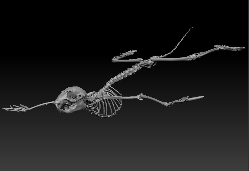 アンフィ合同会社 on X