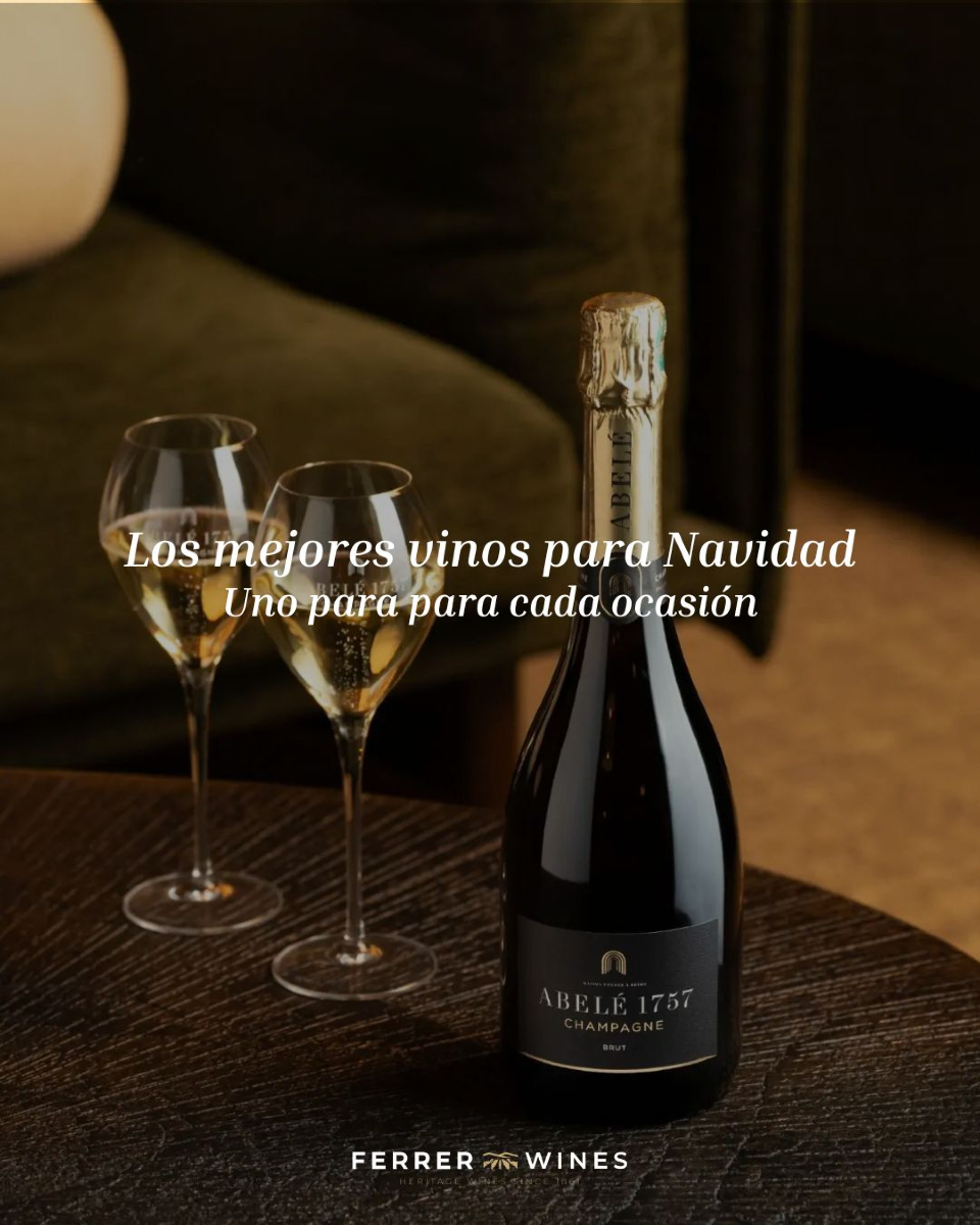 FerrerWines's tweet photo. 🎄✨ ¿Buscas el vino perfecto para esta Navidad? Hemos preparado una selección pensada para cada momento.

🔗 https://t.co/FzlAiNCgW9

#VinosParaNavidad #ChristmasWines #FerrerWines #BrindisNavideño #MaridajeNavidad #VinoEspañol #SpanishWine #VinoOnline #WineLovers https://t.co/FD63a3iYzY