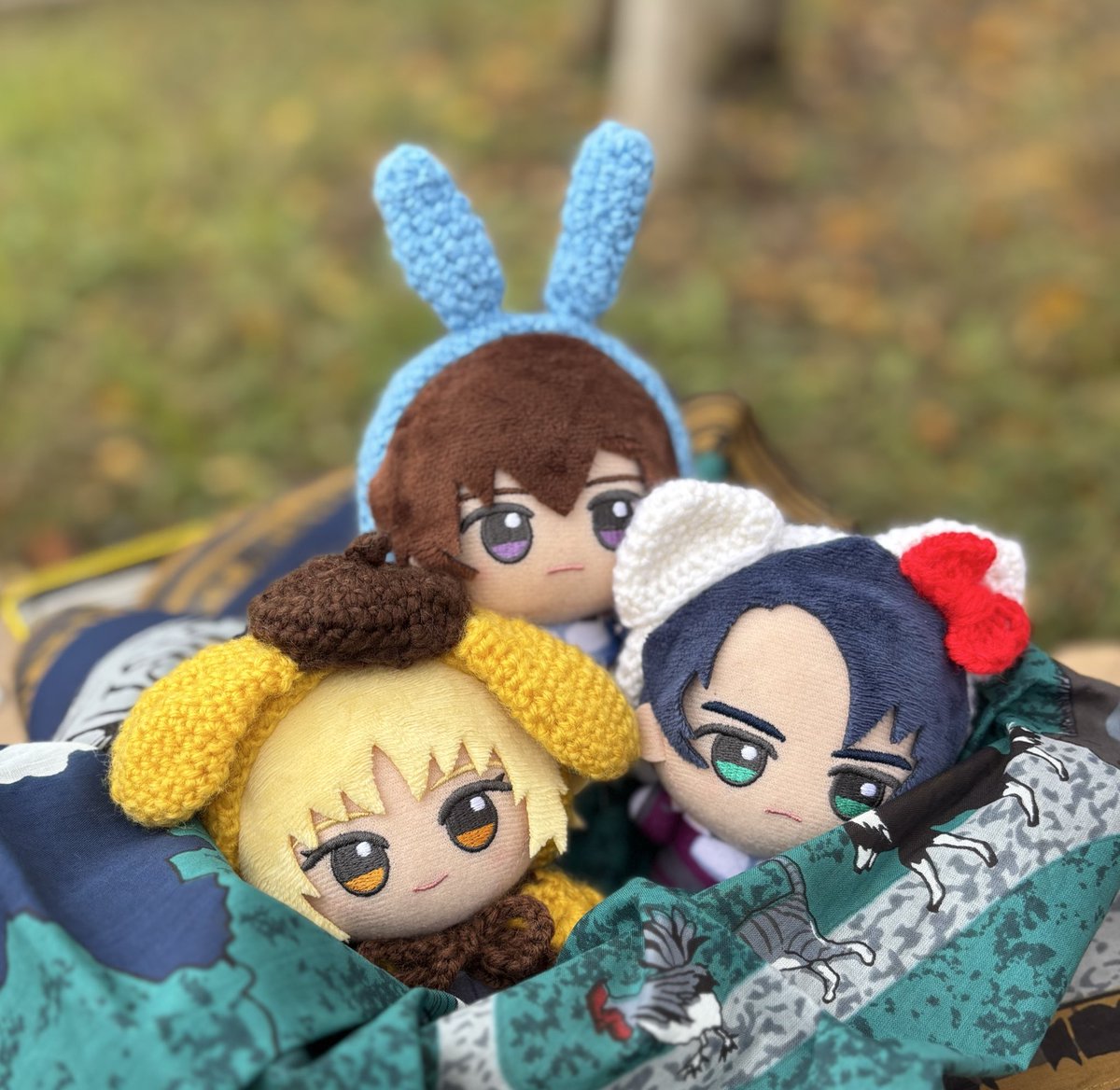 3人で日向ぼっこ🍂