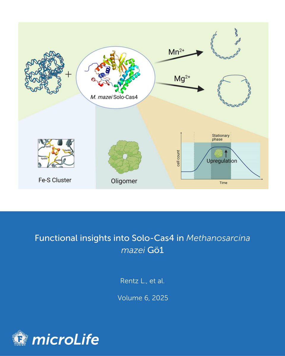 microLife tweet media