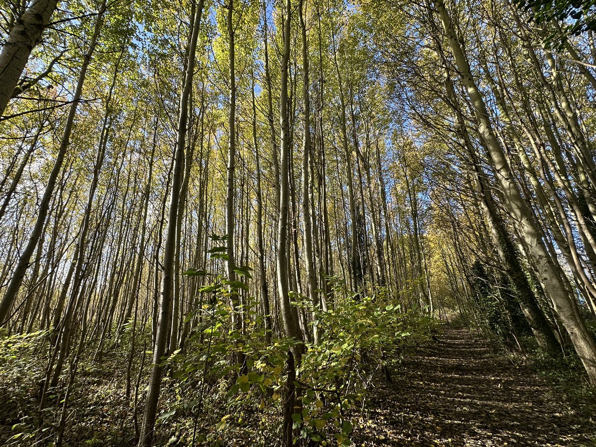 Jay Up North tweet media