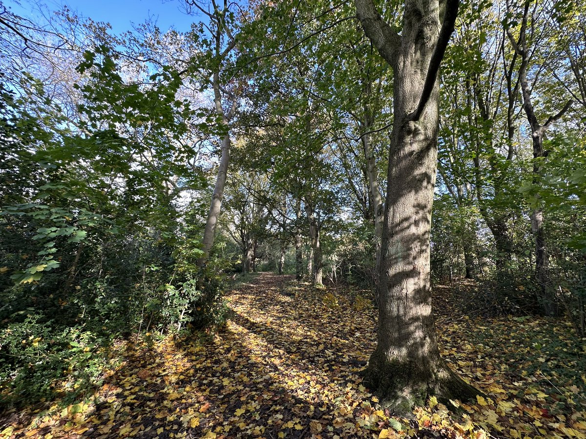 Jay Up North tweet media