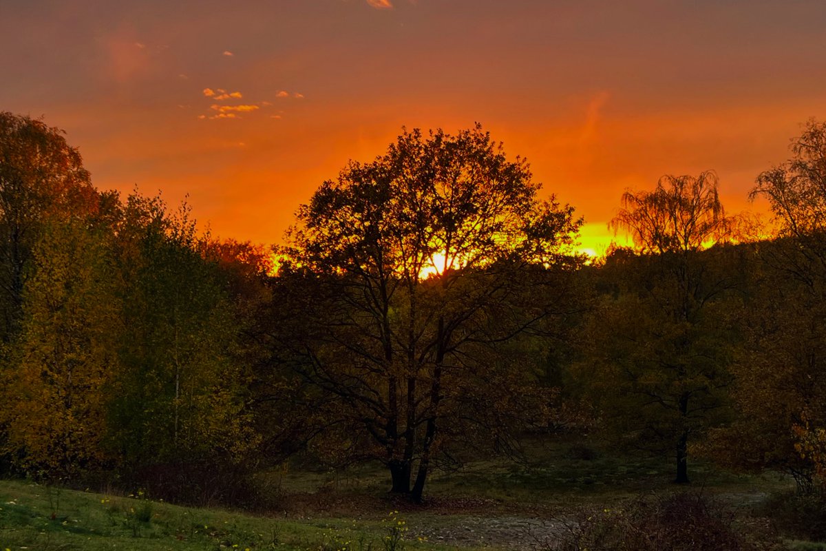 ManouWolff's tweet image. Golden hour