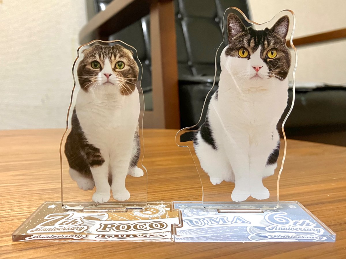 ポコ太郎様　画像確認用 スコスコぽこ太郎&うま次郎 (@PocoUma) / Posts / X