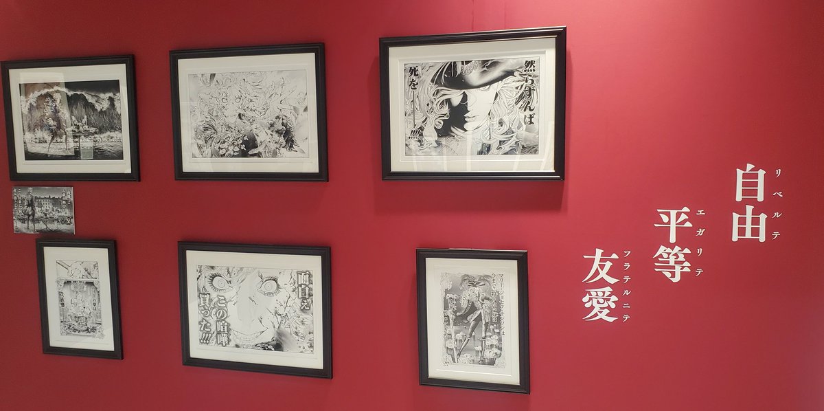 あちこ じゃまーだ tweet media