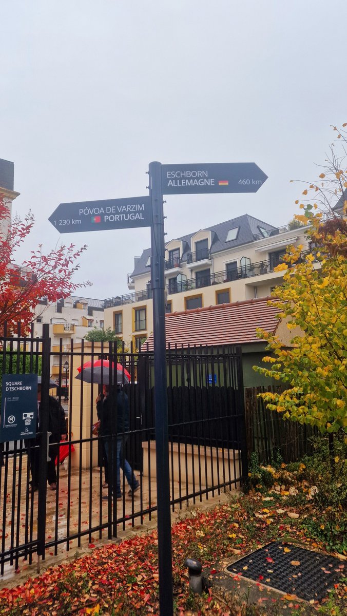 Yannick Le Meur tweet media