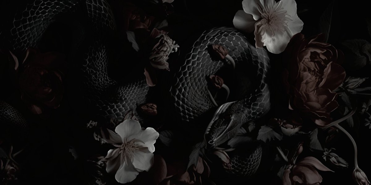 SANT0LAMENT0's tweet image. ⠀⠀ㅤ⠀⠀ㅤ⠀⠀ㅤ⠀⠀ㅤ⠀⠀ㅤ⠀⠀ㅤ⠀⠀
⠀⠀ㅤ⠀⠀ㅤ─── 𝓽𝒂𝒕𝒊𝒂𝒏𝒂 𝖉𝐞 𝖑𝐚 𝖗𝐨𝐬𝐚
⠀⠀ㅤ⠀⠀ㅤ𝙲 𝙸 𝙷 𝚄 𝙰 𝙿 𝙸 𝙿 𝙸 𝙻 𝚃 𝙸 𝙽
⠀⠀ㅤ⠀⠀ㅤ𝖼͟𝗋͟𝗂͟𝗆͟𝗂𝗇𝖺𝗅𝗂𝗌𝗍͟𝖺  &amp;amp;  𝐦𝐞𝐱𝐢𝐜𝐚𝐧𝐚
⠀⠀ㅤ⠀⠀ㅤ𝒉𝒆𝒓𝒆𝒅𝒆𝒓𝒂 ⠀ 𝒅𝒆⠀  𝒍͜𝒂́𝒈𝒓͜𝒊𝒎𝒂𝒔
⠀⠀ㅤ⠀⠀ㅤ…