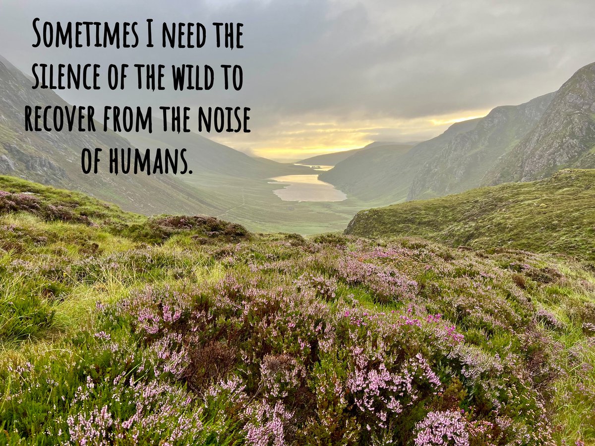 Nick Ray tweet media