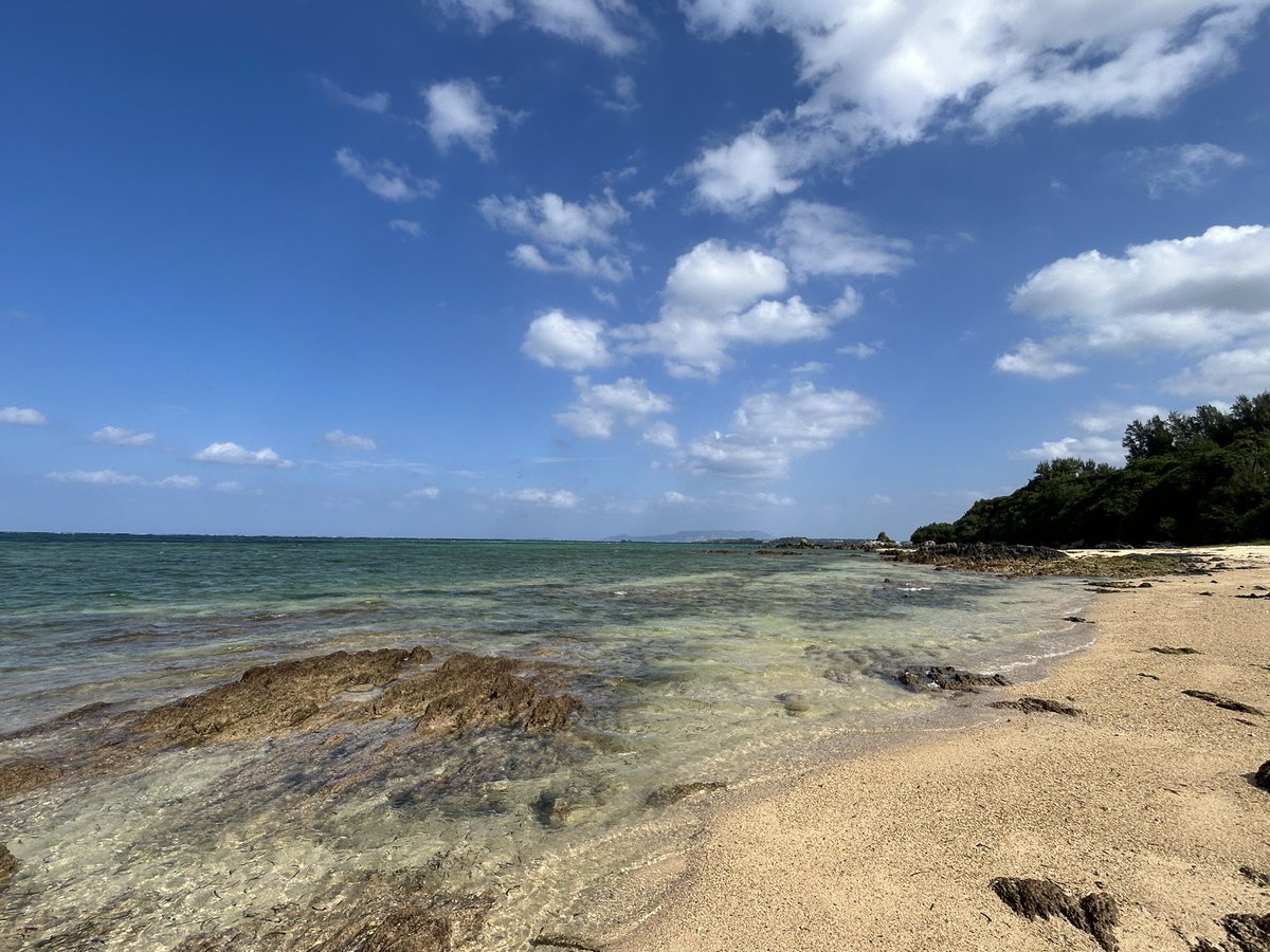 pipigreen24's tweet photo. 今日もいいお天気で、透き通るようなコバルトブルーの海を散策😊

楽しかったあっという間の4日間
また来たいな😃 https://t.co/VRKUBzEPDu