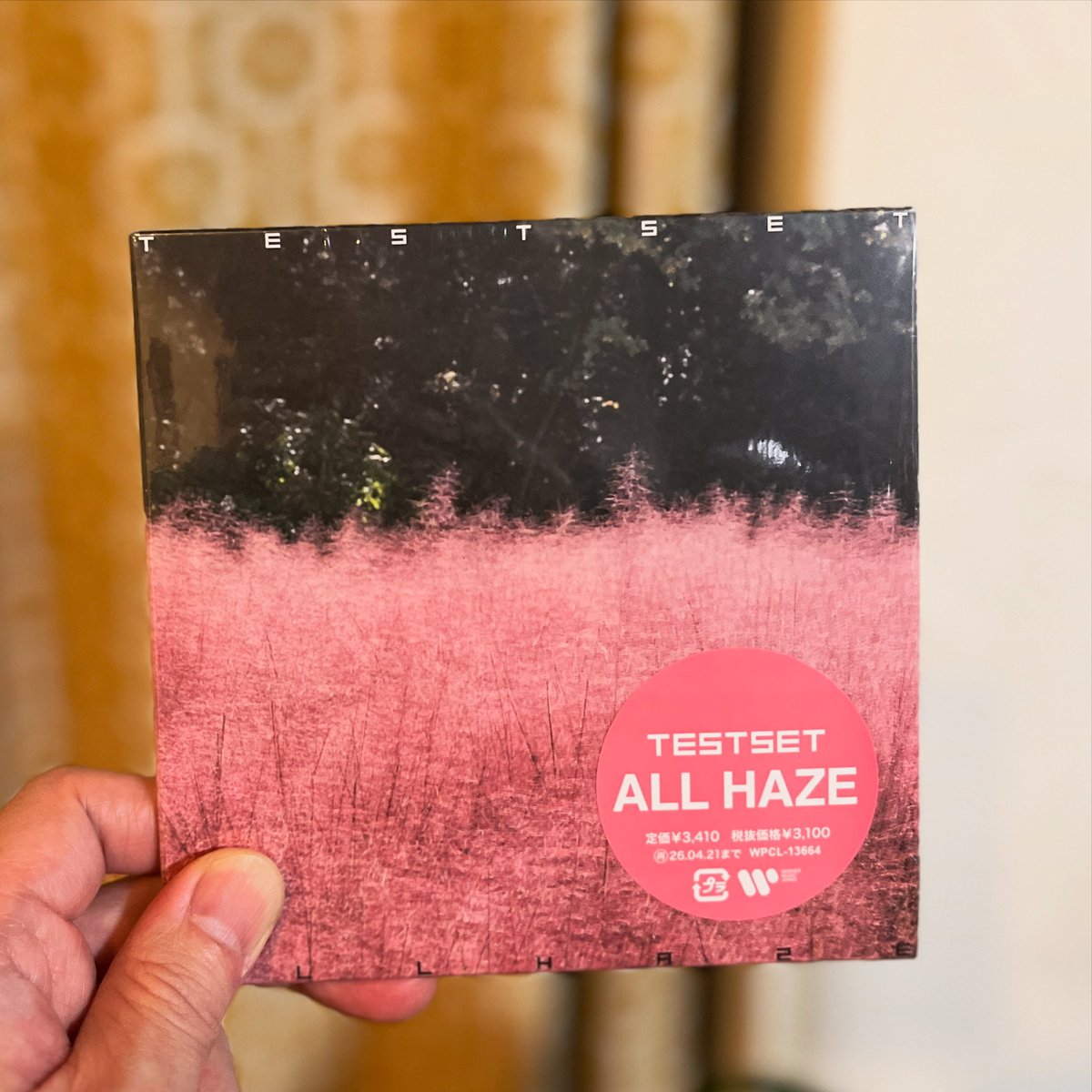 T*B様 ストーム　ウィズバン　WHIZ BANG びびんば on X