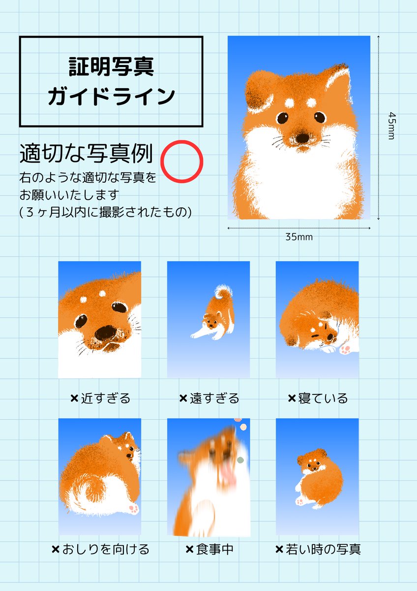 流行りの証明写真ガイドラインやってみました🐕
テンプレートお借りしました🙏