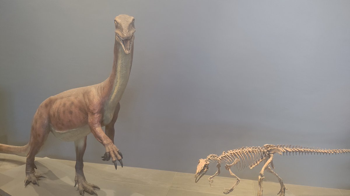 3連休
どっか行ったね～？
博物館は4周年記念で　ワークショップや
記念のステッカーとかば　配りよった😊

そして明日は休館日やっけんね😆
みんなは学校や仕事ば頑張ってね～💪