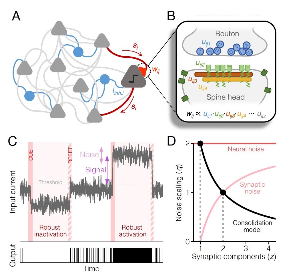 thmonk_pf's tweet image. 睡眠中記憶固定化に於る神経活動replay/synapse刈込み/homeostatic scallingをnoiseに対するrobust性最大化という統一原理で説明する数理model

内在性synaptic noiseが2因子の重みの平方根に比例しscaleするという予測を検証し実験観察と一致

OA

#sleep 
#synapse
#papers 
doi.org/10.1073/pnas.2…