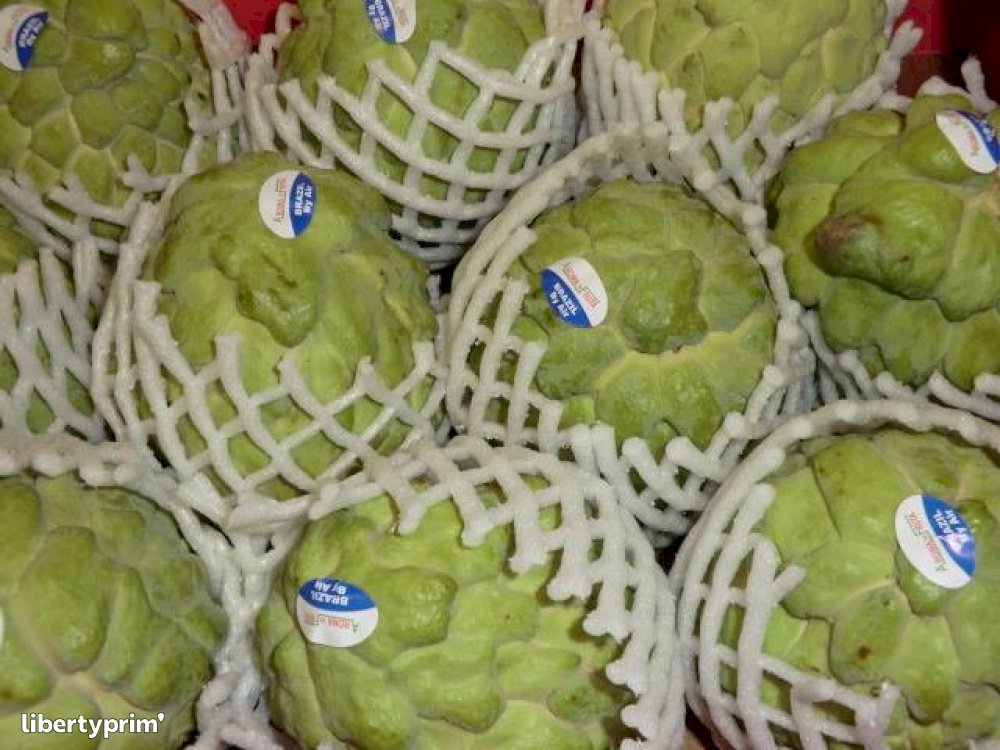 El cajón de salida de los maratones si la camiseta de Kipchoge pasa a ser tendencia...