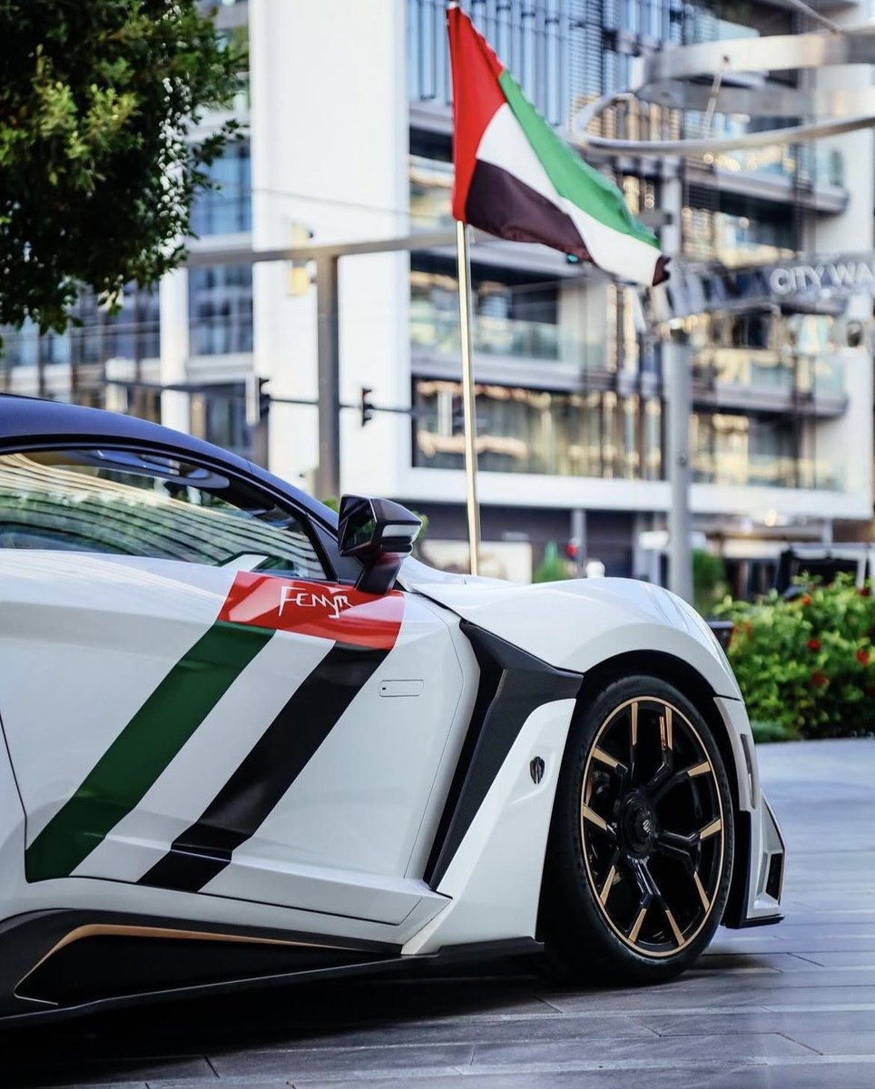 WMotors's tweet photo. Happy UAE Flag Day! 🇦🇪 

#WMotors #Fenyr #SuperSport #FenyrSuperSport #SpiritoftheWolf #Dubai #UAEFlagDay https://t.co/CWZ2qqL2c2