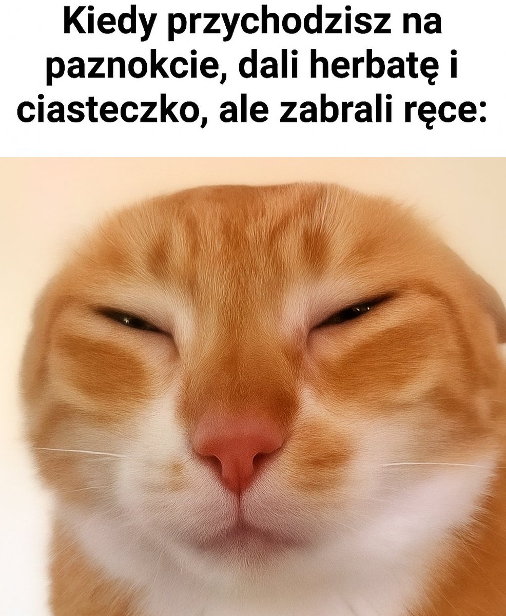 Brzmi znajomo 🫣🫣🫣🐈‍⬛