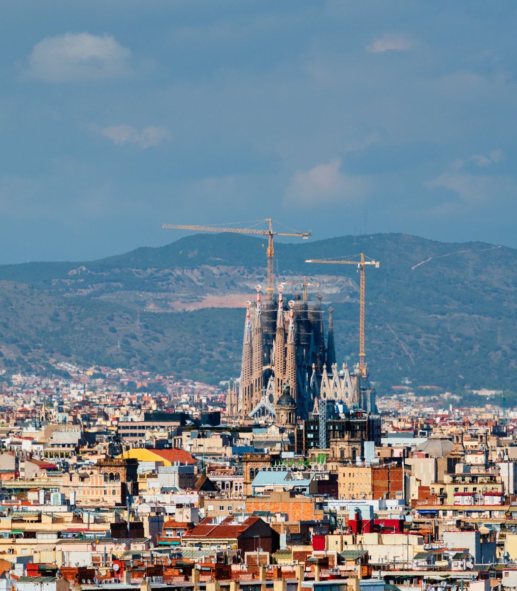 Celebs Arabic tweet media