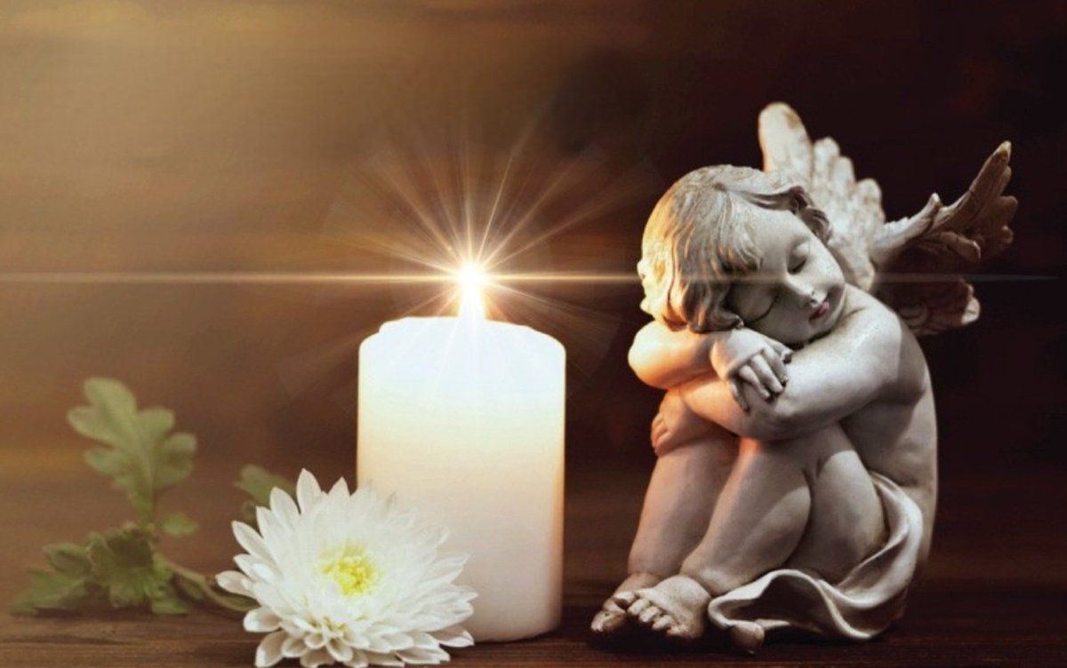 ⚫️🕯🕊🕯
🇨🇵 En France, ces jeunes sont victimes d'une justice de merde à cause des juges rouges gauchiasses👎

❌️ Les juges amis des racailles, des voyous, les ennemis de notre FRANCE 🇨🇵 

#StopJusticeLaxiste 

🌿 Une pensée pour les victimes de cette justice laxiste❗️

👇