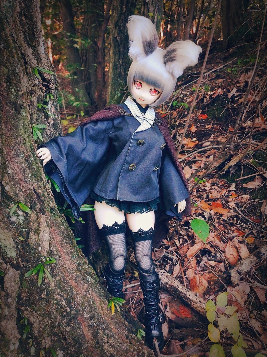 本日のうちの子 251103
#ドール
#doll