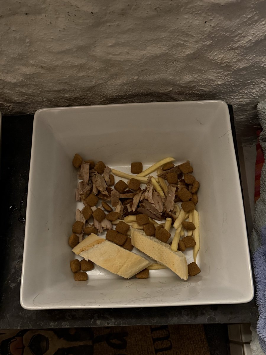 Hier noch - für alle die die Pawty verpasst haben - ein kleiner Teaser fürs nächste Jahr 🤓
Habt alle einen feinen Start in die neue Woche 😊🫶😊