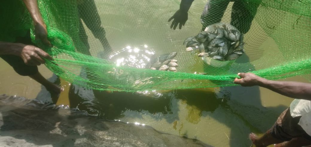 Our continued support for 2 fish ponds in the Western region providing 100kg of fish feed and fish lings to Virginia children's home which cater for children who suffer from Dyskinetic cerebral palsy. #servingmankind #humanityfirst