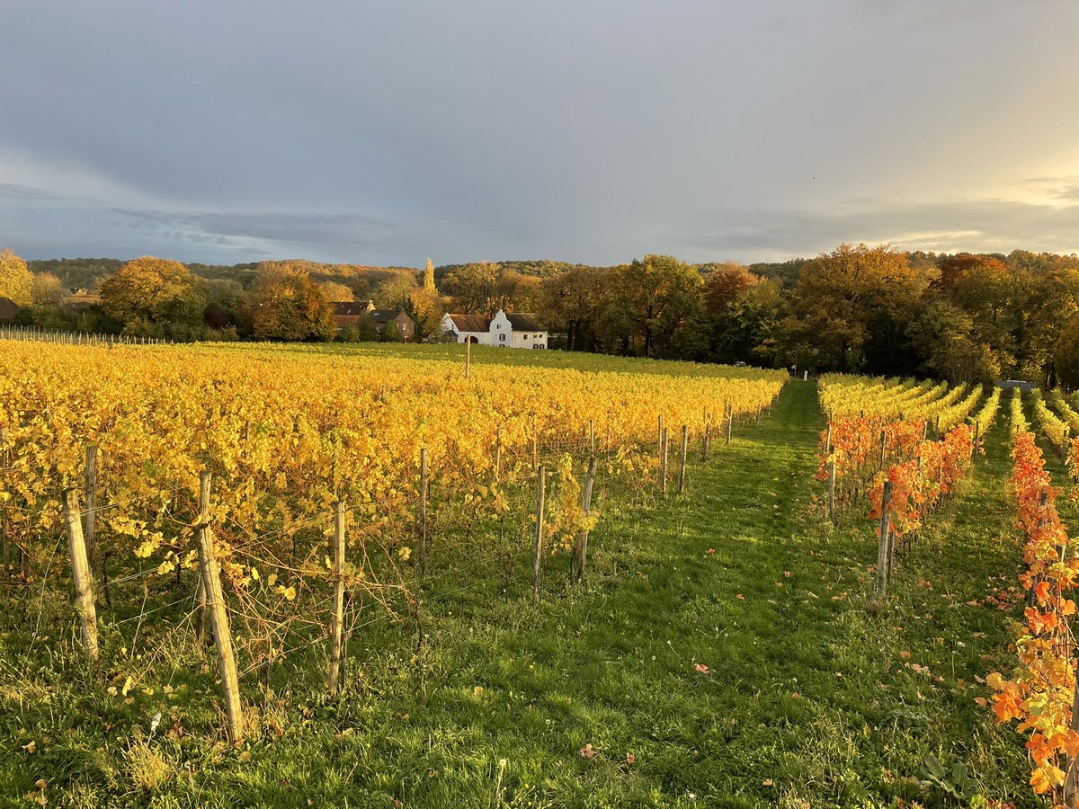 Côte d’or ….CHÂTEAU ST.GERLACH #GEULDAL