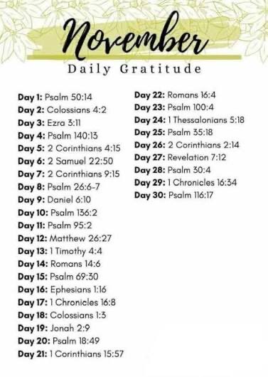 For those that need the Month of November! I gotcha girl <a href="/cessadelove1/">Princess Ade</a> 🫶🏽🌸