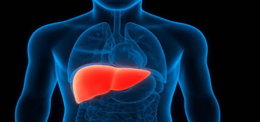 Khabarfast's tweet image. लिवर में जमा फैट अब नहीं रहेगा! जानें घर बैठे Fatty Liver का खतरा कैसे खत्म होगा 

khabarfast.com/lifestyle-heal… 

#FattyLiver #LiverHealth #LiverDetox #HomeRemedies #HealthyLiver #ReduceLiverFat #NaturalDetox #LiverCare #FattyLiverCure #Khabarfastdigital