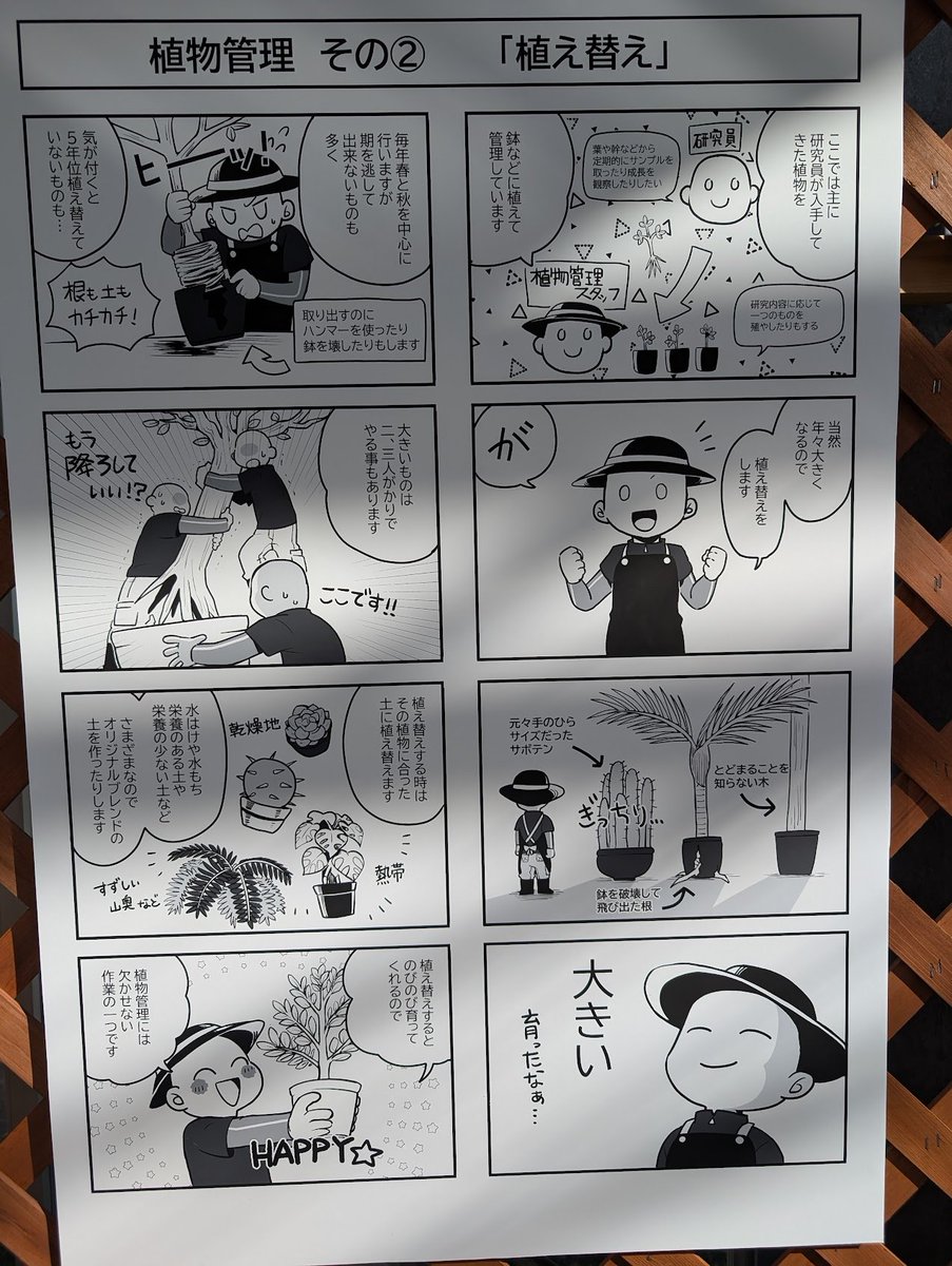 中観荘厳論の研究 ZplusC1Bst on X